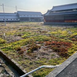 岩出市畑毛の1種農地（187坪）